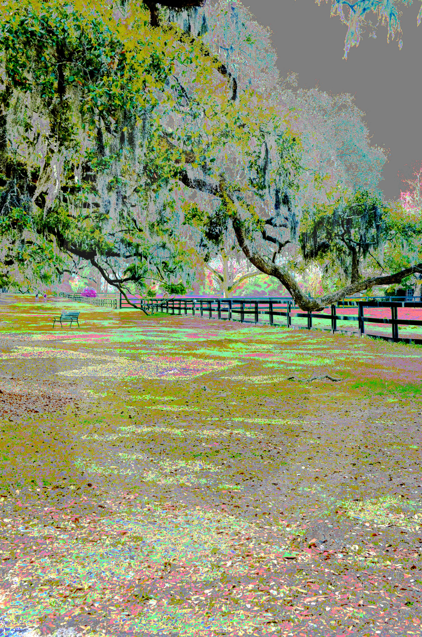 art photography,creative photography,award winning photography, charleston, mount pleasant, south carolina, usa,digital photography,photo gallery,photography landscapes,landscape,